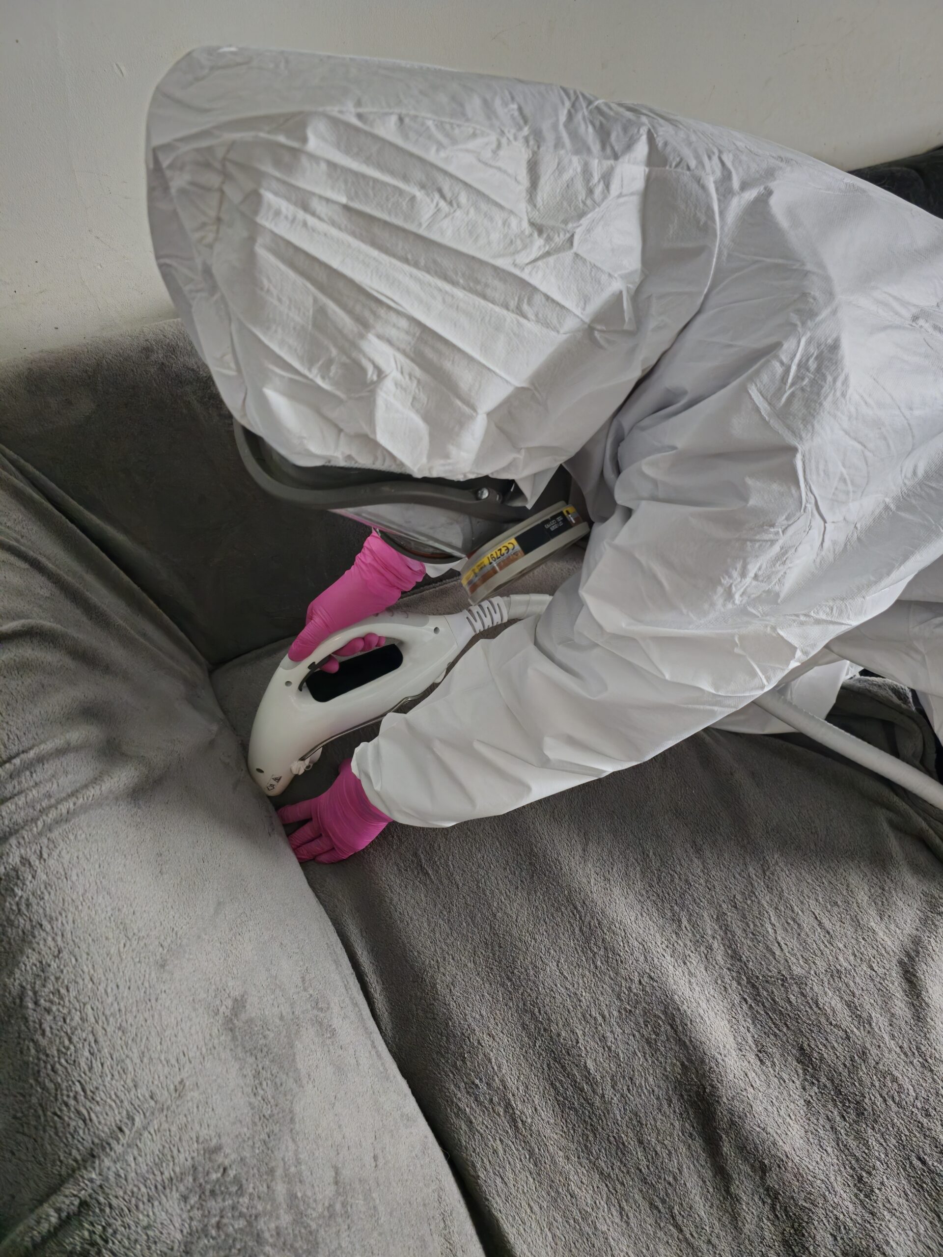 Traitement professionnel punaises de lit